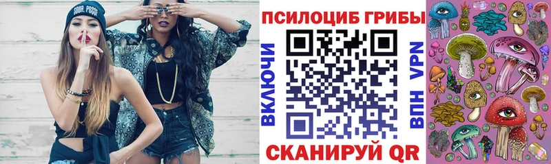 Псилоцибиновые грибы GOLDEN TEACHER  Вяземский 